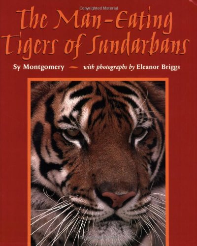 The man-eating tigers of Sundarbans