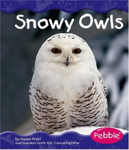 Snowy owls