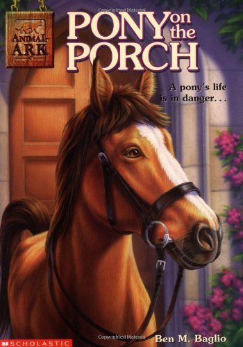 Pony on the porch