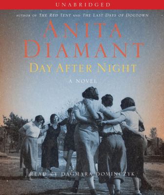 Day after night : a novel