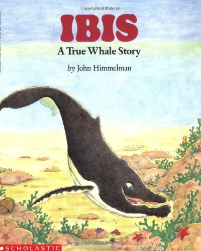 Ibis : a true whale story