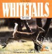 Whitetails : Whitetail magic for kids