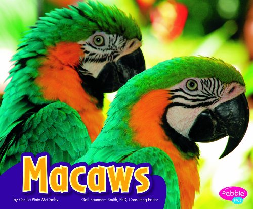 Macaws