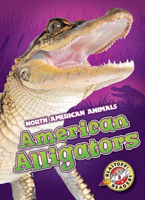 American alligators