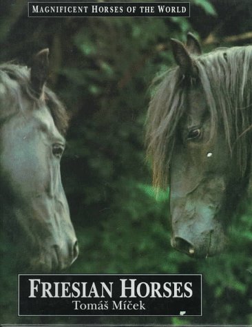 Friesian horses