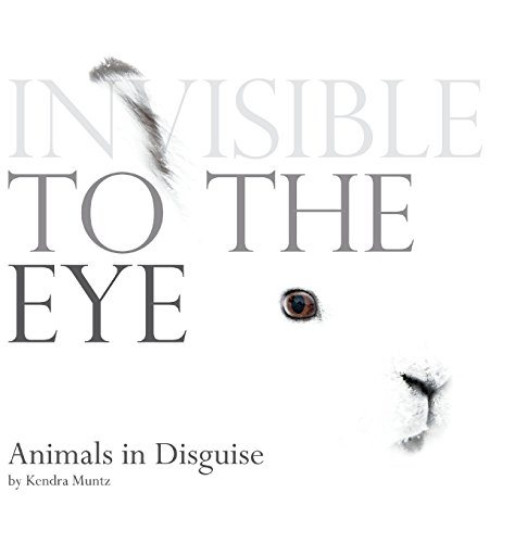 Invisible to the eye : animals in disguise