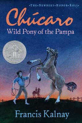 Chúcaro : wild pony of the Pampa