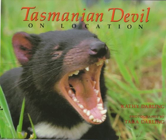 Tasmanian devil