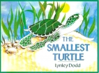 The smallest turtle