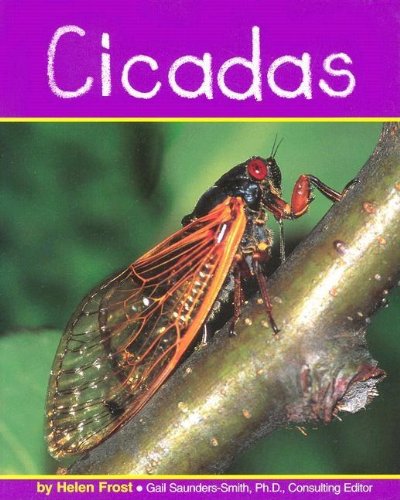 Cicadas