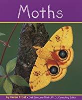 Moths