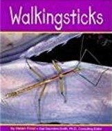 Walkingsticks