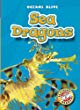 Sea dragons