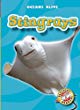 Stingrays