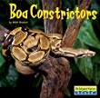 Boa constrictors