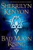 Bad moon rising : a Dark-Hunter novel