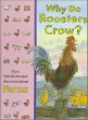 Why do roosters crow? : first questions and answers about farms.