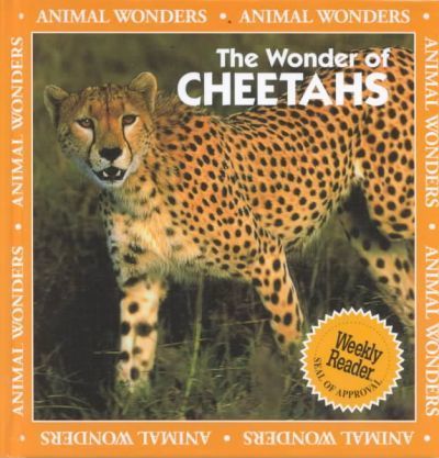 The wonder of cheetahs
