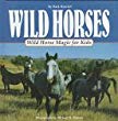 Wild horses : wild horse magic for kids