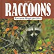 Raccoons : raccoon magic for kids