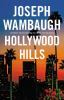 Hollywood Hills : a novel