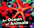 An ocean of animals
