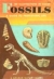 Fossils, : a guide to prehistoric life,