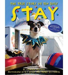 Stay: : the true story of ten dogs /