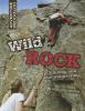 Wild rock : climbing and mountaineering