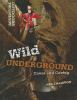 Wild underground : caves and caving