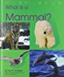 What is a mammal?