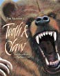 Tooth and claw : the wild world of big predators