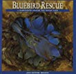 Bluebird rescue