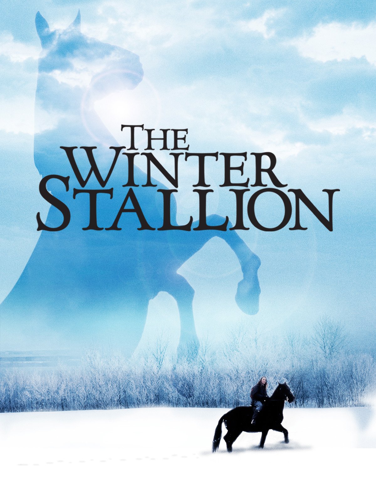 The winter stallion