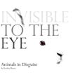 Invisible to the eye : animals in disguise