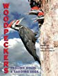 Woodpeckers : drilling holes and bagging bugs
