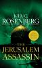 The Jerusalem assassin : a novel