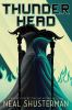 Thunderhead. book 2 /