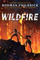 Wildfire : a novel