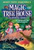 Mary Pope Osborne's Magic tree house : the graphic novel. Afternoon on the Amazon /