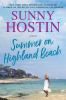 Summer on Highland Beach : a novel