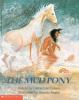 The mud pony : a traditional Skidi Pawnee tale