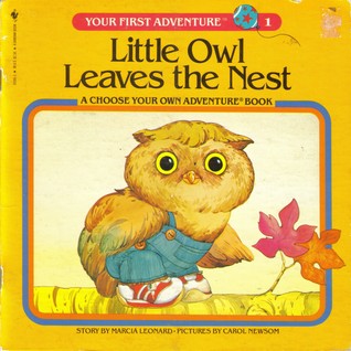 Little Owl leaves the nest