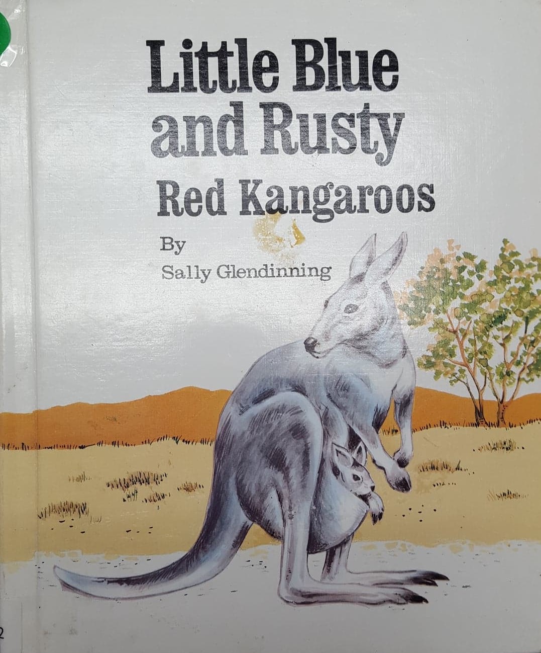Little Blue and Rusty : red kangaroos