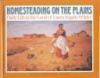 Homesteading on the plains : daily life in the land of Laura Ingalls Wilder