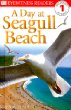 A day at Seagull beach