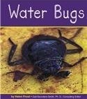 Water bugs