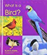 What is a bird?