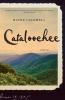 Cataloochee : a novel